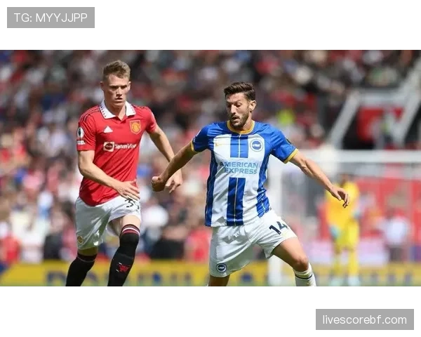 布莱顿动态4-4-2体系,乌加特主防格罗斯主控分工明确